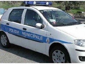 vigile