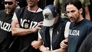 de cicco